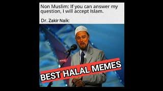 Best Islamic Memes ft. Mufti Menk, Zakir Naik, Blogging Theology.