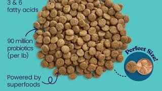 Top 5 best dog foods for sensitive stomachs | Dog Goods Reviews