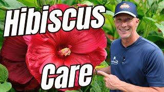 Hibiscus Care