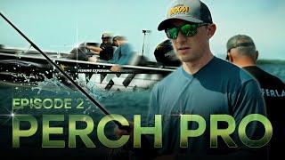 PERCH PRO 10 - Episode 2