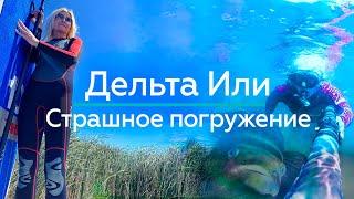 Страшное погружение на ДНО дельты реки Или! / "А как там у них?" c Еленой Кукеле