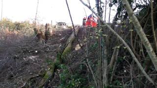 Treuil forestier artisannal en action de débardage de grume