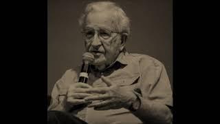 Noam Chomsky on Aaron Swartz and Freedom of Information