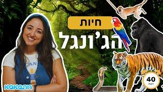 חיות הג'ונגל לקטנטנים  - למידה מהנה ומלאת הרפתקאות | תכנים לילדים | חיות לילדים