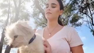 Embrace Necklace - For you & your pet