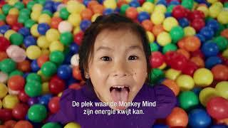 Monkey Mind - Indoor speelparadijs Monkey Town