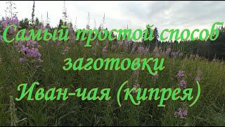 Самый простой (дешевый) способ заготовки Иван-чая (кипрея)