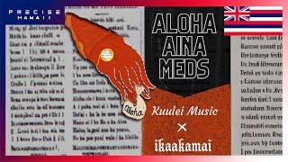 Kuulei Music & Ikaakamai - Aloha Aina Meds (Audio)