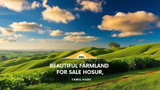 farmland near bangalore - developed farm plots in hosur