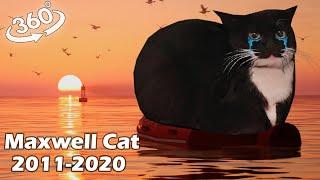 VR 360° Goodbye forever Maxwell Cat 2011-2020 / R.I.P.