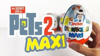 Kinder Surprise MAXI PETS 2