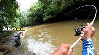 REKOR TERCEPAT!!! MANCING CASTING IKAN HAMPALA (Hampili) DI ARUS DERAS SUNGAI BATU