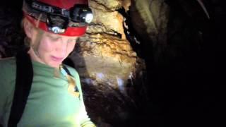 Cosmic Caverns Wild Tour