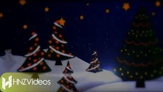 Happy New Year 2014 (HNZVideos Commercial)