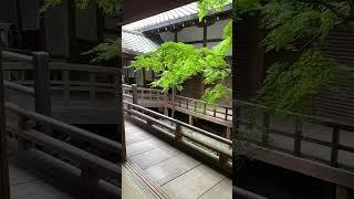 Breeze blow through garden with no one, Eikando Kyoto Japan