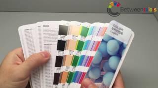 Pantone Color Bridge, Coated