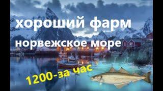 1200 за час фарм на море#shorts