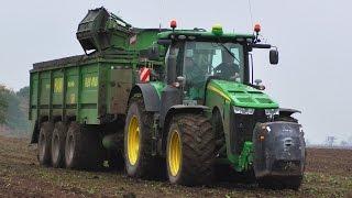 JOHN DEERE 8370R + HAWE RUW 4000 | ROPA EURO TIGER 5 | Sugarbeet harvesting