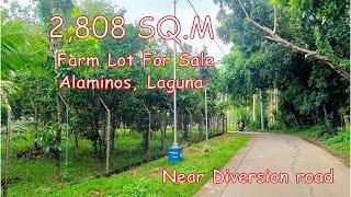 2,808 SQM. FARM LOT FOR SALE (Prop# 187), ALAMINOS, LAGUNA