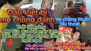 [348] Con dâu gọt soài mời mẹ ăn ,mẹ bỏ đi và dơ tay đánh con dâu