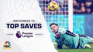 Top Premier League saves from Matchweek 15 (2024-25) | NBC Sports