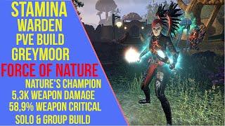 ESO Stamina Warden PVE Build - Force of Nature - PVE Guide - Greymoor