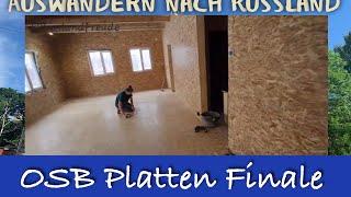 Das Finale mit dem OSB Platten bei Kevin und Patrycja