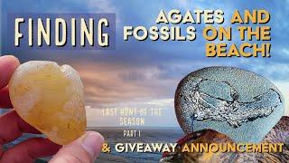 Finding Agates and Fossils: On the Oregon Coast (Last Hunt of the Season part 1) #thefinders