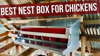 Best Nest Box for Chickens!!