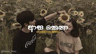 Asa Kena | ආස කෙනා (slowed + reverbed) | Nilan Fernando | @kavee_vibez