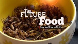 The Future of Food: Eating Insects