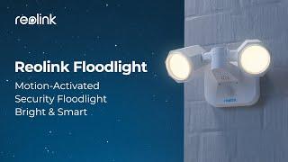 Reolink Floodlight: Bright Motion-Activated Security Floodlight for a Smart Home