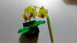 How to make orchids flower with drinking straws.