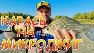 КАРАСЬ на МИКРОДЖИГ!!! Карась жрал пассивные приманки, СУПЕР рыбалка!!!