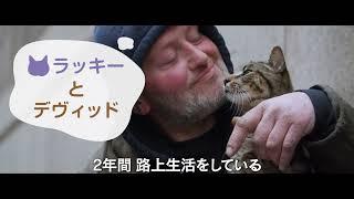 7/28（金）公開『猫と、とうさん』予告編