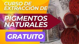 Curso básico de pigmentos naturales (GRATUITO) / Cap-01 PH