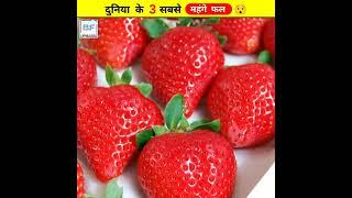 दुनिया के 3 सबसे महंगे फल  || Amazing Video About Fruits #shorts #youtubeshorts