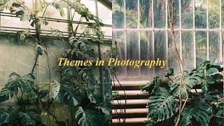 What is a Theme in Photography?