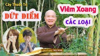 VIÊM XOANG Cỡ Nào Cũng Dứt Điểm, Viêm Đa Xoang, Nhức Đầu Sổ Mũi, Nghẹt Mũi. Chùa Pháp Tạng