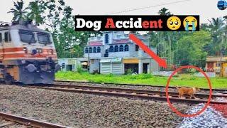 Live Accident  High Speedy Express Train Hit the Dog Cross the railline