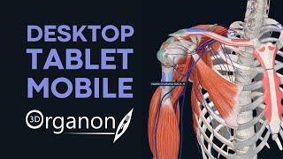 Meet 3D Organon: For Desktop, Tablet and Mobile