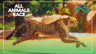 Planet Zoo (2025) All Animals Race Showcase