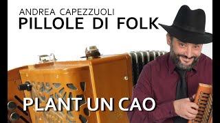 PILLOLE DI FOLK: Plant un cao - Andrea Capezzuoli