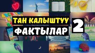 Тан калыштуу фактылар / Кызыктуу маалыматтар (80+ факт)