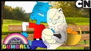 Gumball | Playing Cupid | The Shippening | Cartoon Network