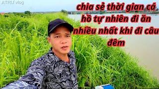 Câu đêm cá thường ăn vào giờ nào ?chia sẻ thời gian cá hồ tự đi ăn nhiều nhất khi câu đêm /ATRƯ vlog