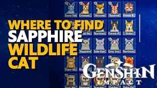 Sapphire Genshin Impact Cat Location