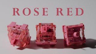 Akko CS Rose Red Switch Review and Sound Test