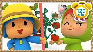  POCOYO in ENGLISH FULL EPISODES - Vegetable garden [120 min] | VIDEOS and CARTOONS for CHILDREN