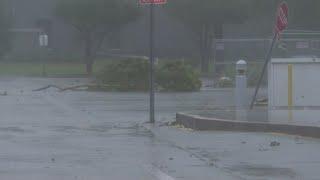 Watch: Hurricane Francine breaks, drags away huge tree limb during WWL Louisiana live shot in Houma